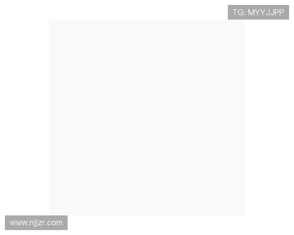 2024年法甲外援转会市场趋势及表现综合分析