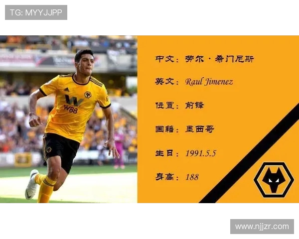 英超球员国籍分布及多元化现状 英超球员国籍分布及多元化现状